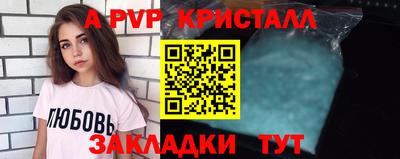 шишки Дубна