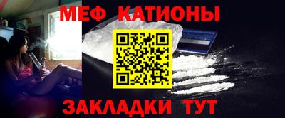 шишки Дубна